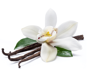 Vanilla.